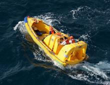 Image of Radiance of the Seas' rescue boat