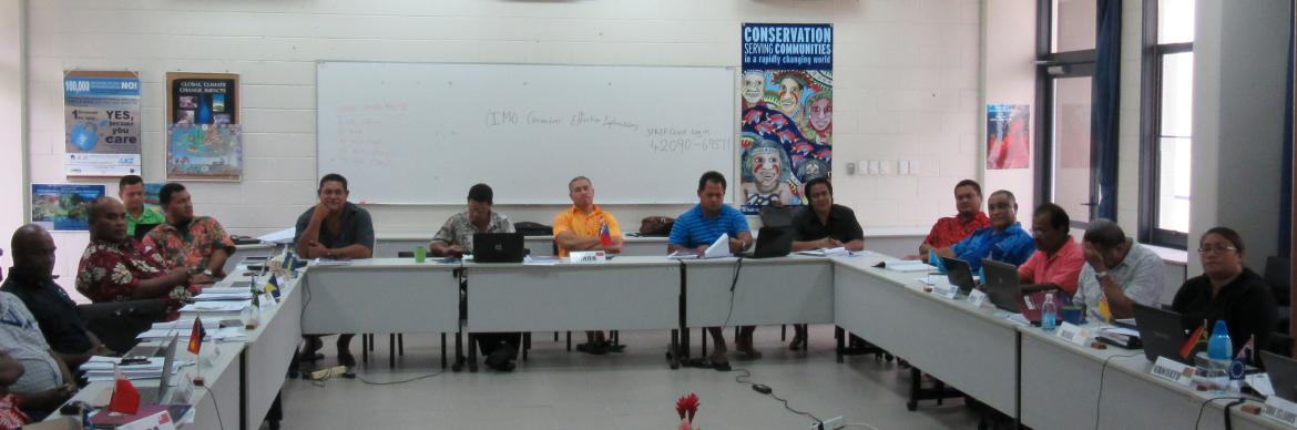 Workshop participants, Samoa