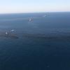 Ships helping clean up spilled oil on the ocean's surface