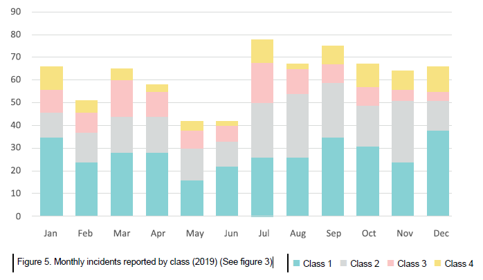 Figure 5. Monthly incidents reported by class (2019) (See figure 3)