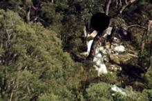 Image from rescue helicopter of overturned trawler Cassandra/FRJE, Waddy Point, Fraser Island