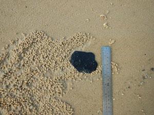Oil on Fraser Island sand less than 10cm in diameter