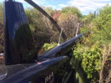 Blue helicopter landed in tree