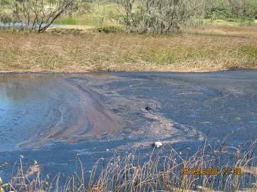 Oil washing up against land