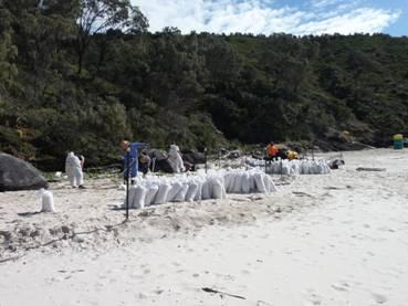 People cleaning up an oiled beach with bags full of oiled sand
