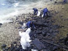 Beach clean-up crew at Flying Fish Cove 