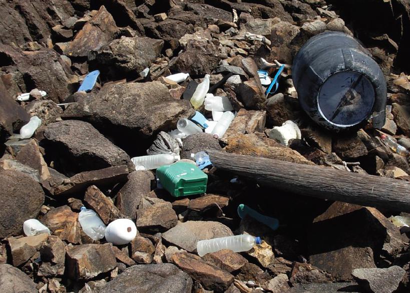 Examples of marine debris