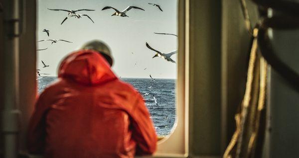 person looking out over ocean