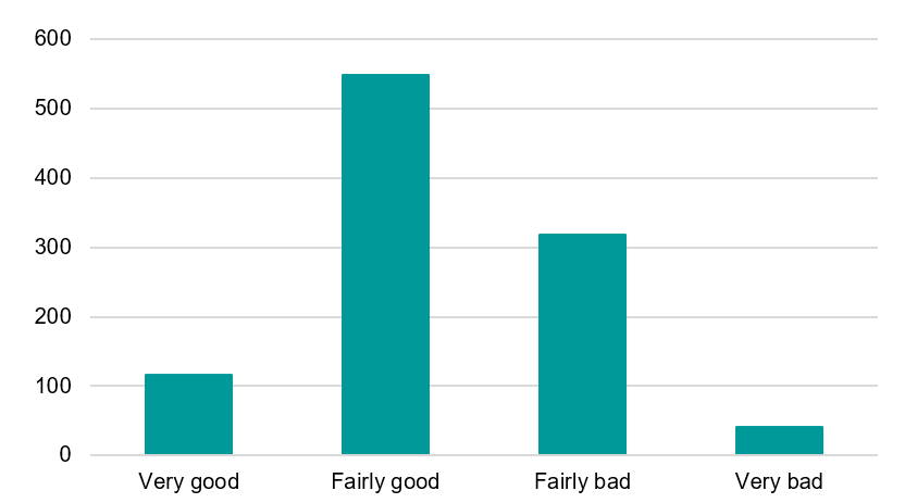 Figure 10. During the past month, how would you rate your sleep quality overall?