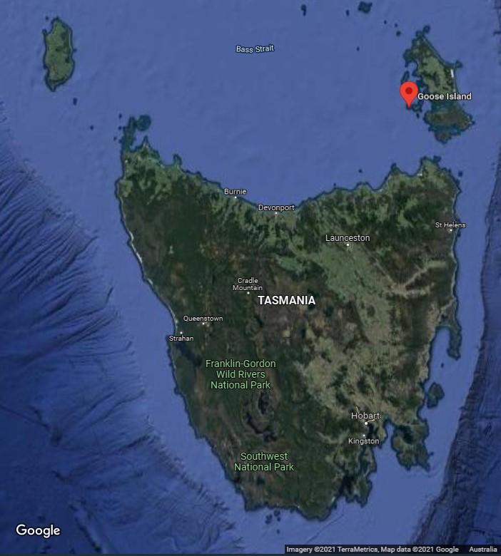 Figure 3. Location of Goose Island within Bass Strait (Imagery: ©2021 TerraMetrics, Map data ©2021 Google)