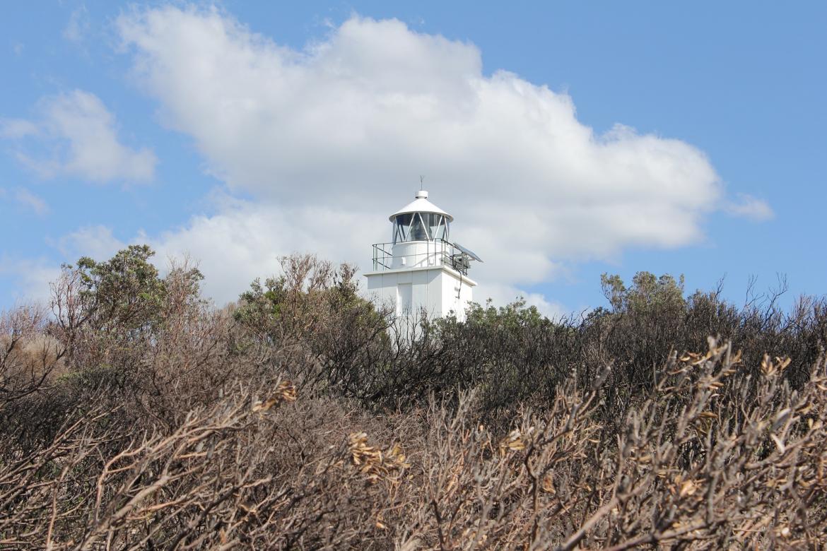 Figure 6. Vegetation by Cape Baily Lighthouse (© AMSA, 2018)