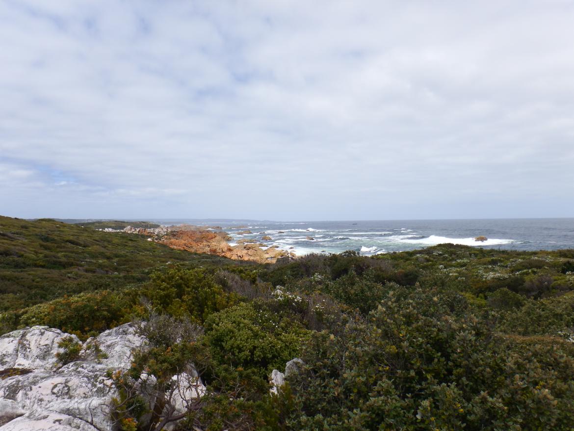 Figure 6. View of Cape Sorell landscape from lighthouse tower (©AMSA, 2014)