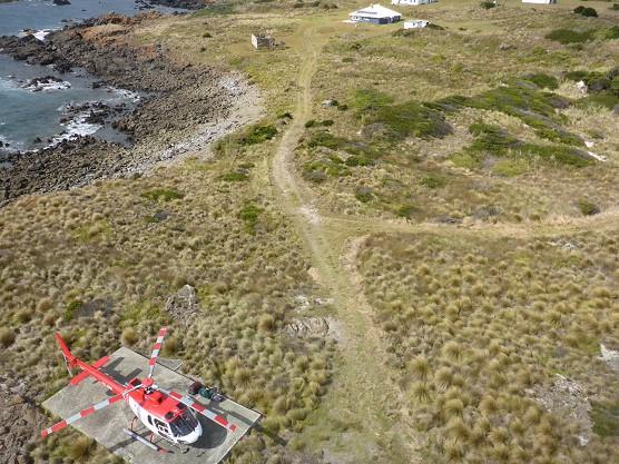 Figure 7. View of helipad and paths leading to Swan Island Lighthouse tower (© AMSA, 2018)