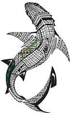 Artwork: Baydham by Badu Island (Torres Strait) artist Michael Nona.