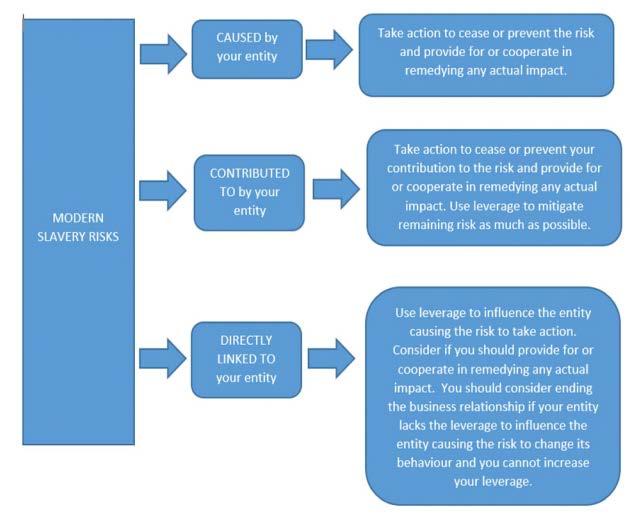 modern slavery flow chart