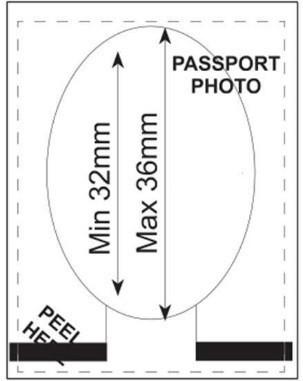 passport photo template