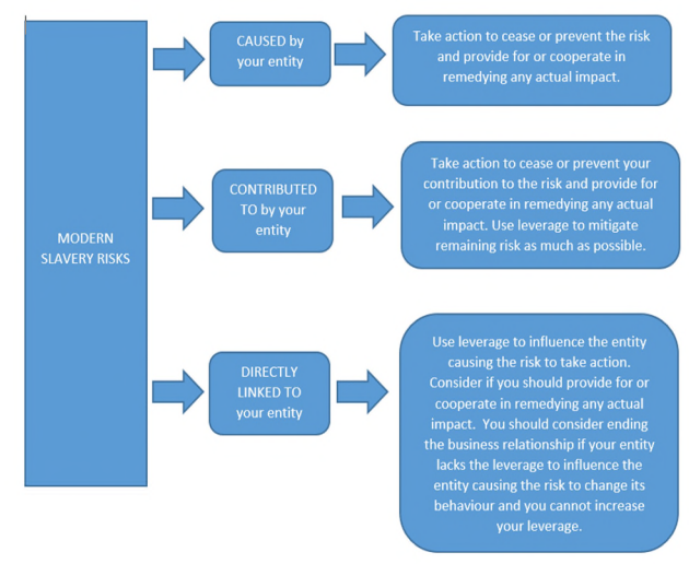 AMSA Risk Assessment