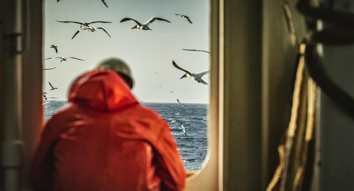 Seafarer onboard vessel