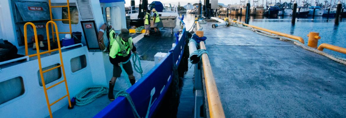 A seafarer handling ropes on a boat next to a jetty