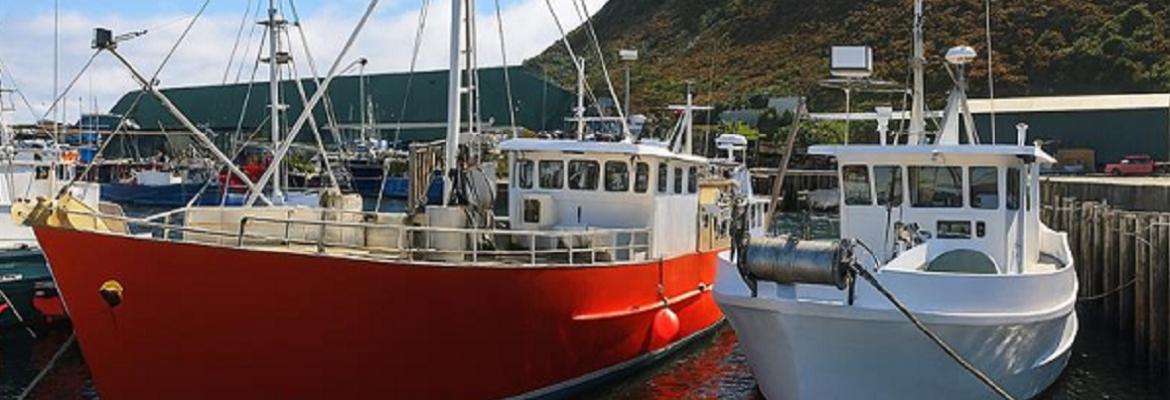 Two fishing boats docked side by side at a harbour with sheds and hills behind