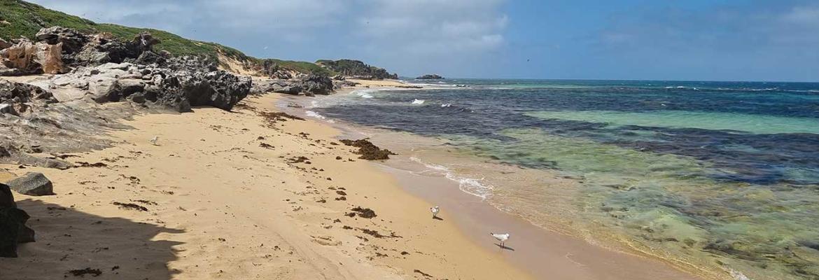 Rocky beach under blue and cloudy sky, Woodman Point, Western Australia