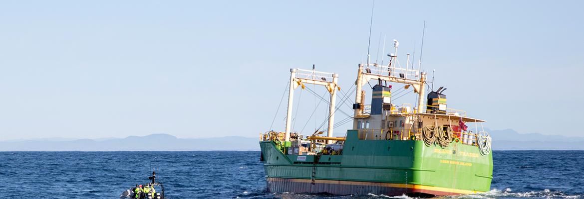 RHIB approaching MV Island Trader