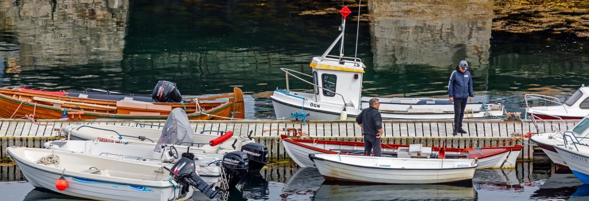 fishing boats