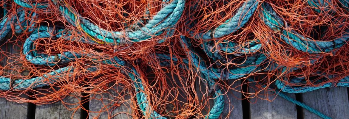 Fishing gear consultation