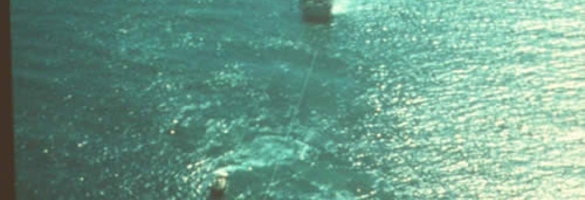 Image of Anro Asia grounded off Bribie Island, Queensland