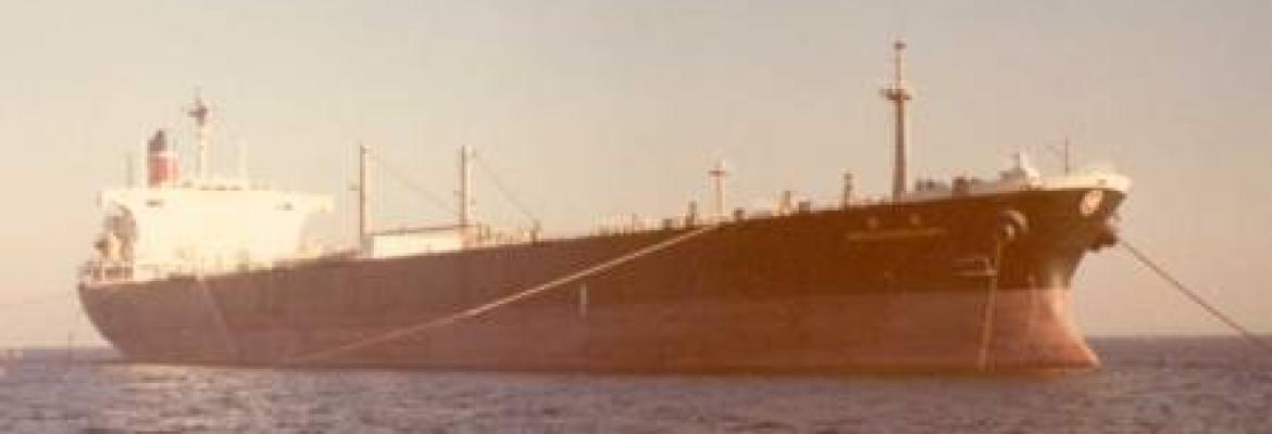 Image of the World Encouragement moored in Botany Bay