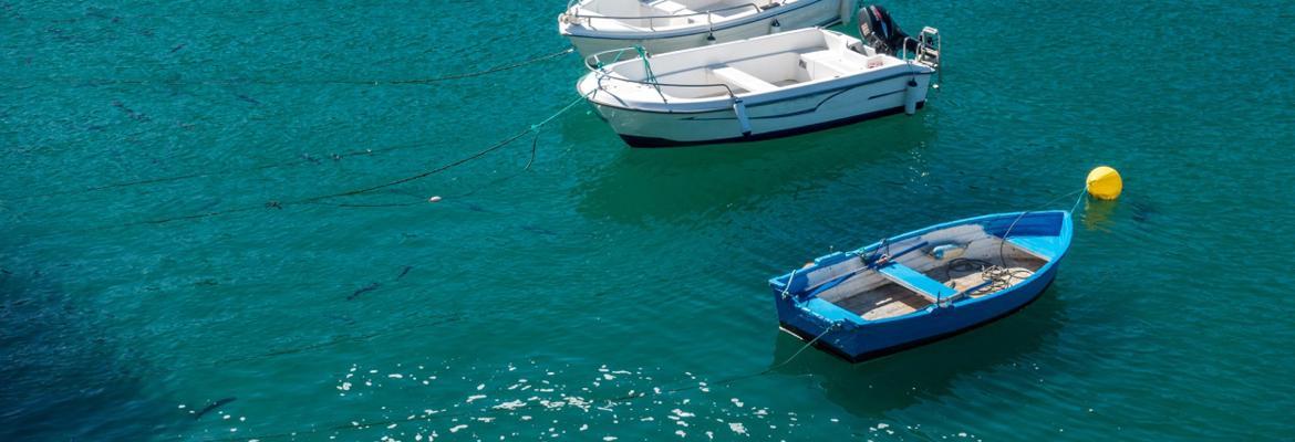 boats in water