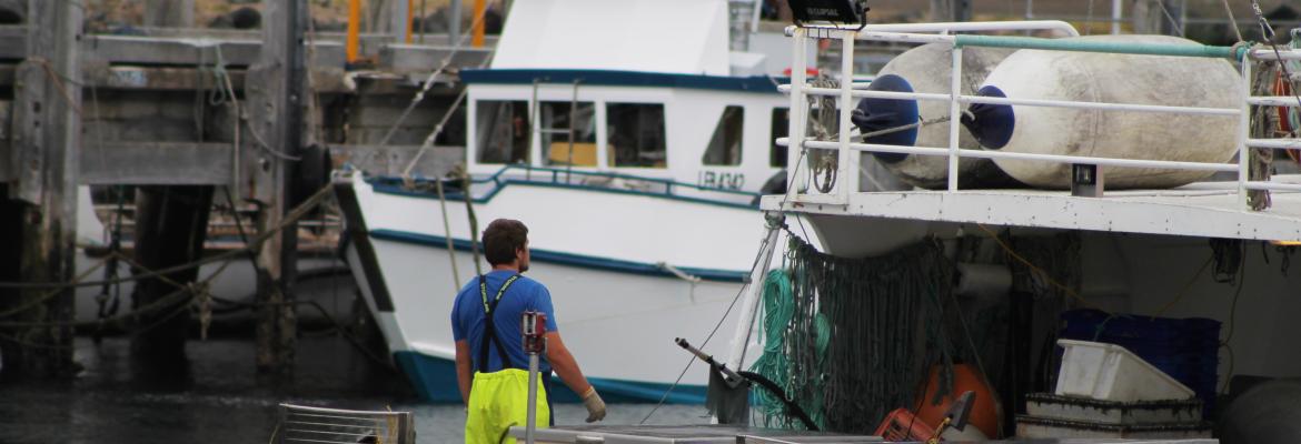 Domestic seafarer on a boat facing towards another white domestic vessel in the distance