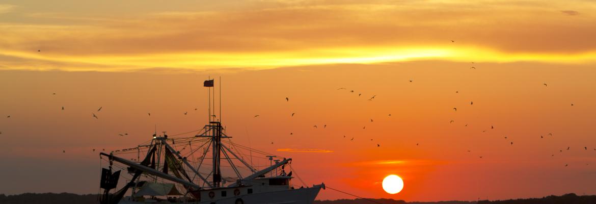 Fishing boat on the ocean in front of sunset