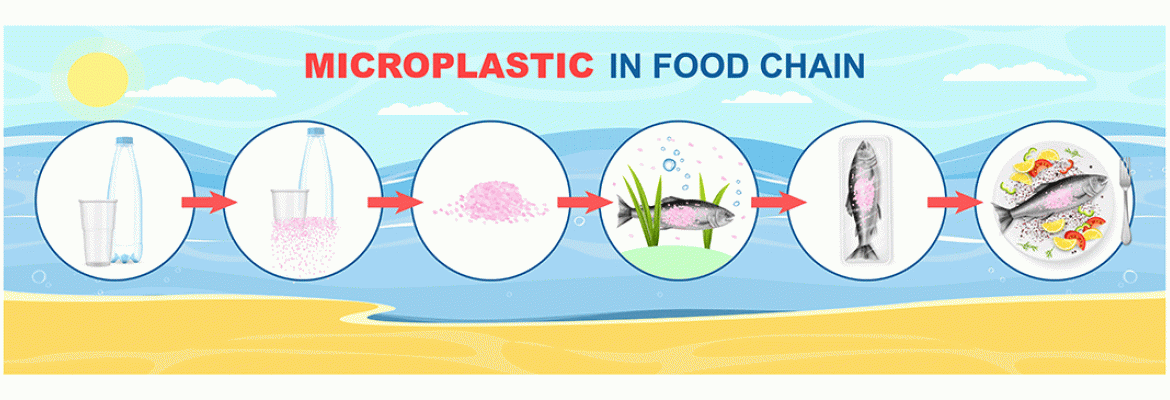 Microplastics in the food chain