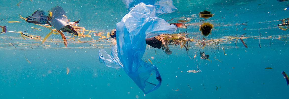 Plastic bag floating in the ocean