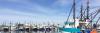 Boats in a marina