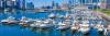 Boats anchored in a harbour in a big city