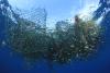 Fishing net floating in ocean